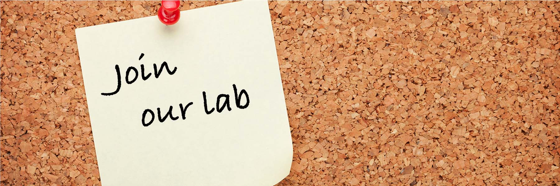 'Join our lab' is written on a post-it note pinned to a cork board.